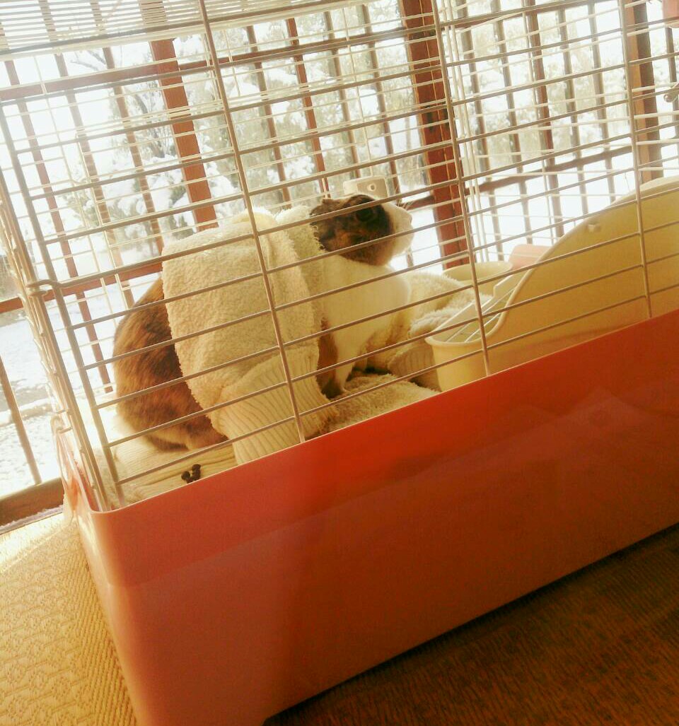 yNGT48z qG X 1©2ch.net YouTube>9{ ->摜>287 