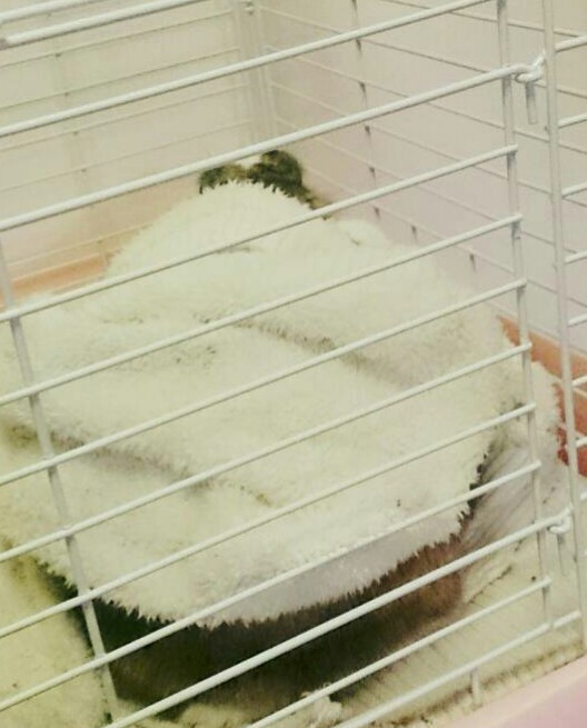 yNGT48z qG X 1©2ch.net YouTube>9{ ->摜>287 